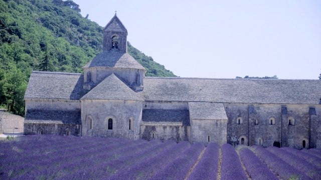 Glorious lavender fields and ancient abbeys in Provence