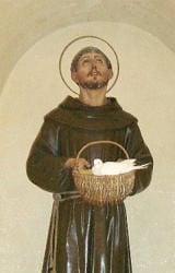 Statue of Saint Francis near his tomb - dove is real