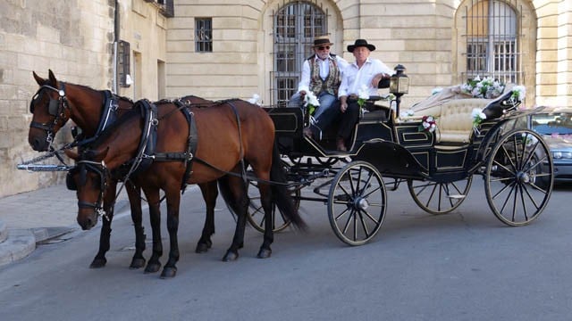 Provencale cowboys