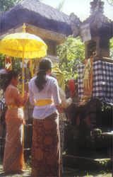 Making offerings at the family temple during Galangal the most holy day in the Balinese calender