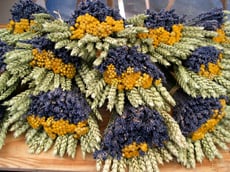 The harvest of summer - wheat and lavender