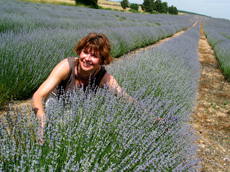 Cuddling lavender