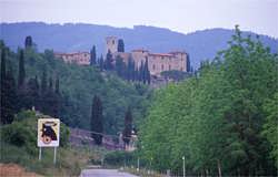 The Gallo Nero of Chianti Classico