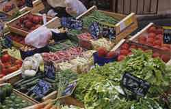 Freshest produce on display at a market in Provence