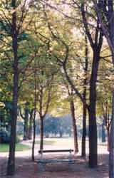 Typical garden scene in Paris