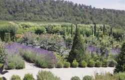 A magnificent traditional Provencale garden